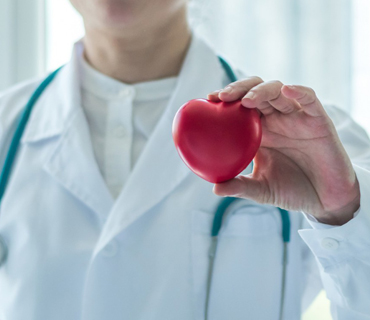 especialidades médicas - cardiologia